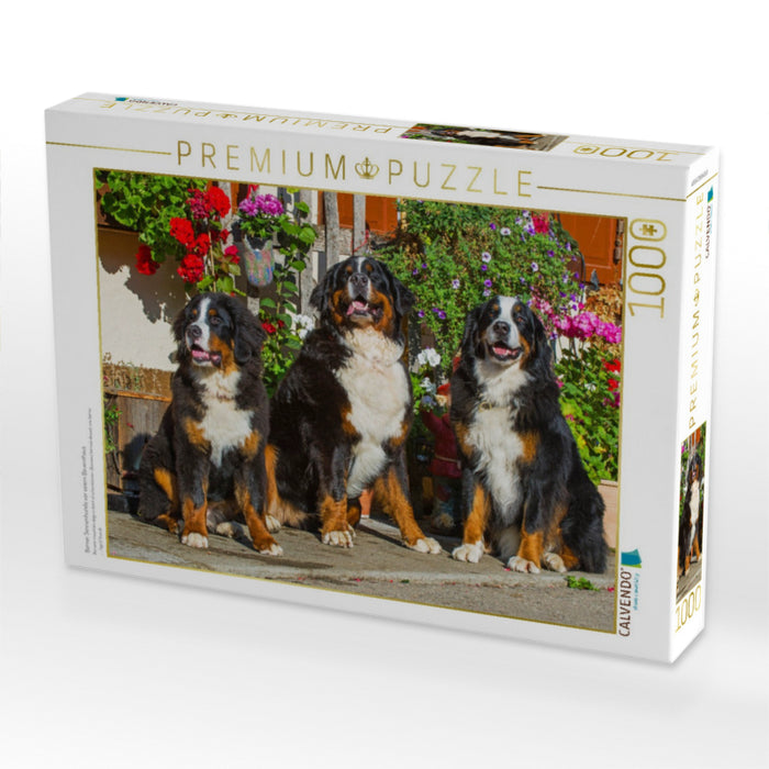 Berner Sennenhunde vor einem Bauernhaus - CALVENDO Foto-Puzzle'