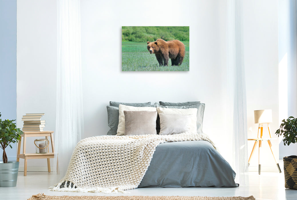 Premium Textil-Leinwand Premium Textil-Leinwand 120 cm x 80 cm quer Braunbär in Alaska