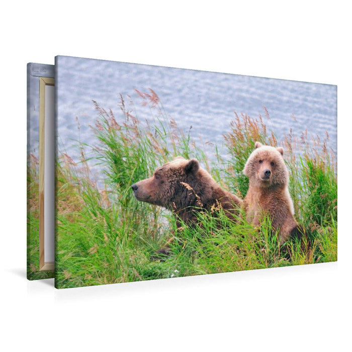 Premium Textil-Leinwand Braunbärmutter mit Jungtier