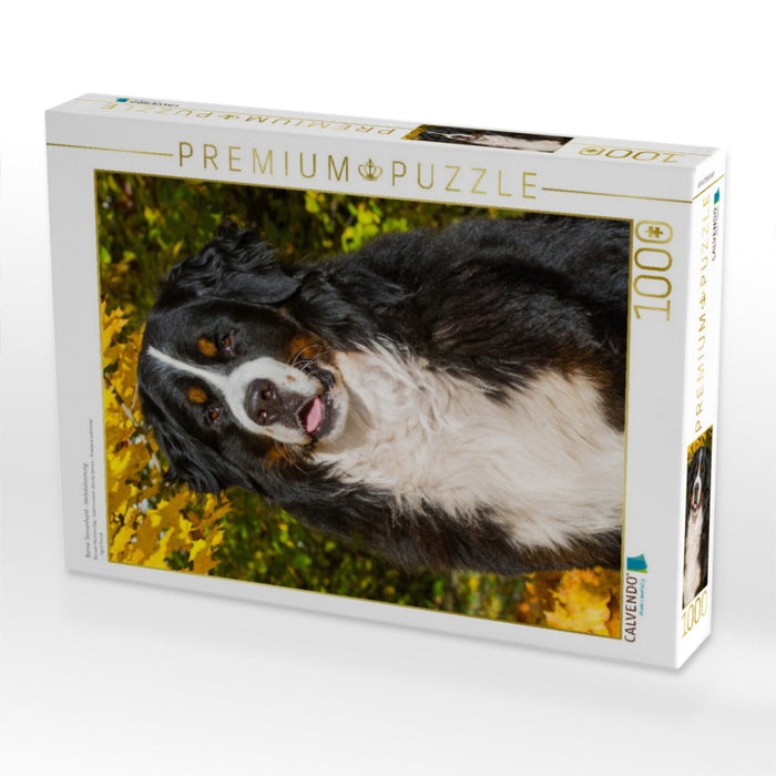 Berner Sennenhund - Herbststimmung - CALVENDO Foto-Puzzle'