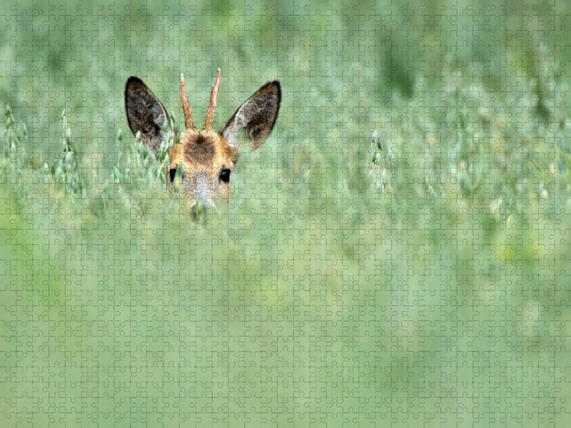 Ein Motiv aus dem Kalender Wildlife Impressionen - CALVENDO Foto-Puzzle'