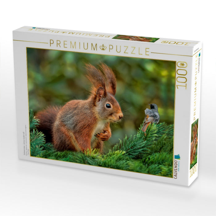 Eichhörnchen - immer wieder süß - CALVENDO Foto-Puzzle'