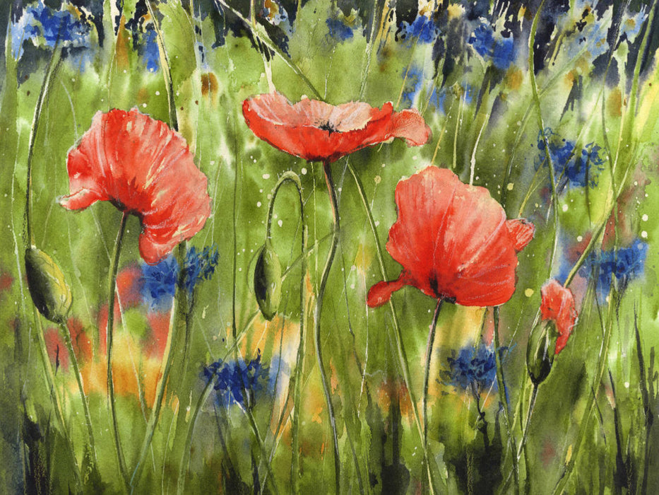 Aquarell Mohn - CALVENDO Foto-Puzzle'