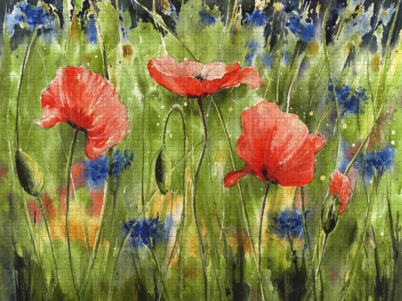 Aquarell Mohn - CALVENDO Foto-Puzzle'
