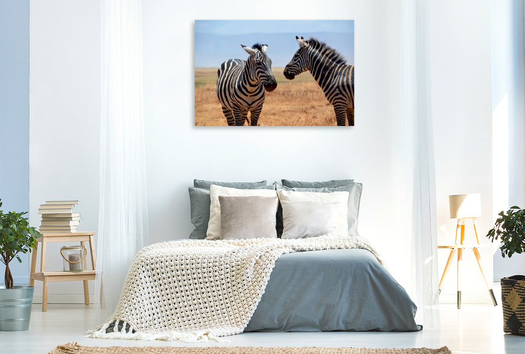 Premium Textil-Leinwand Premium Textil-Leinwand 120 cm x 80 cm quer Zebras im Ngorongoro-Krater