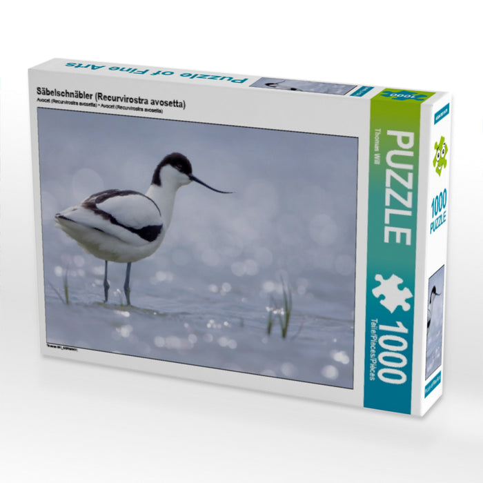 Avocette (Recurvirostra avosetta) - Puzzle photo CALVENDO 