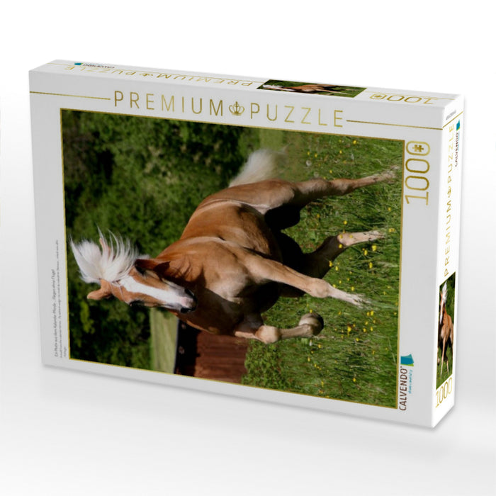 Ein Motiv aus dem Kalender Pferde... fliegen ohne Flügel - CALVENDO Foto-Puzzle'