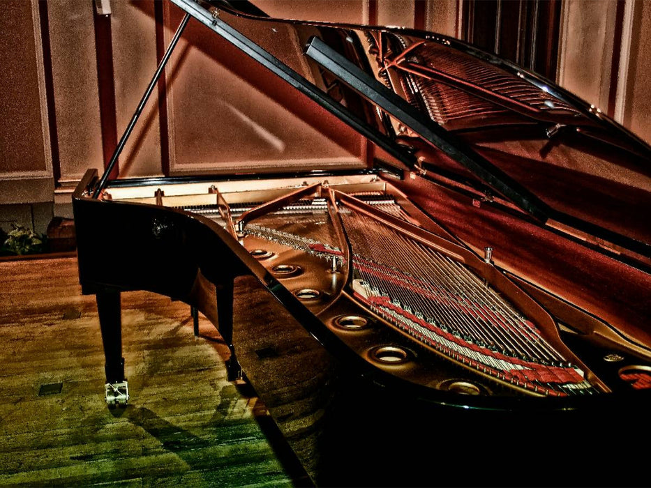 Klavier Solo für zehn Finger - CALVENDO Foto-Puzzle'