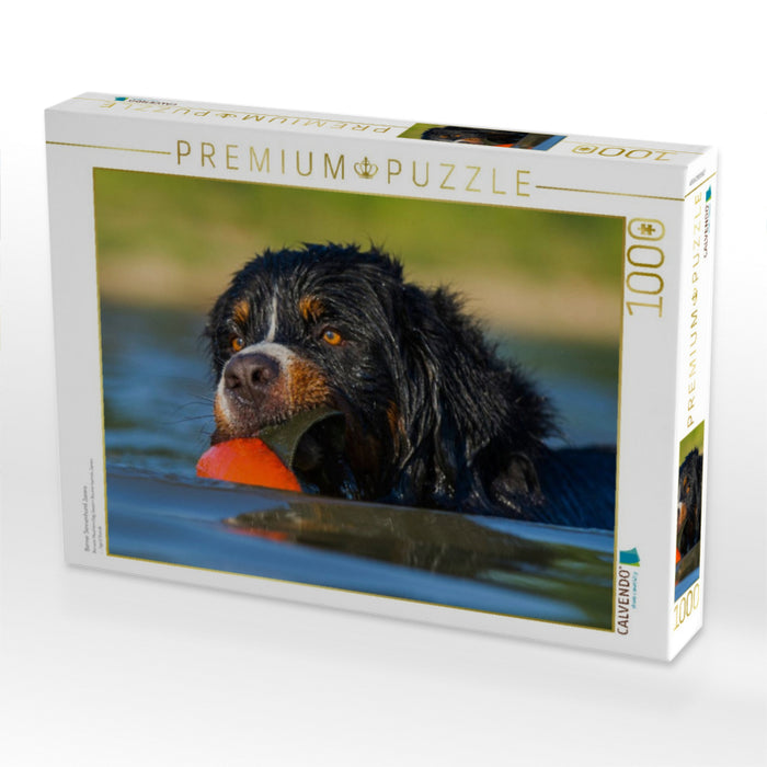 Berner Sennenhund Javaro - CALVENDO Foto-Puzzle'
