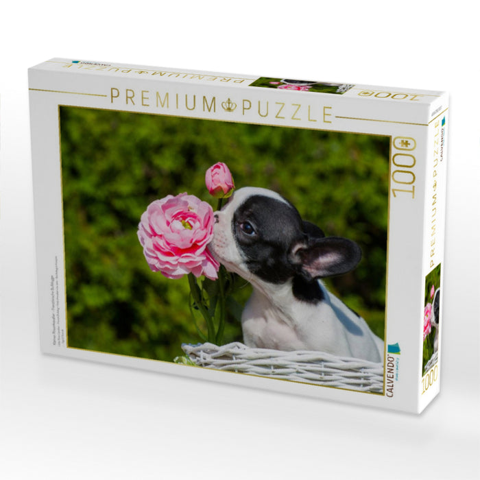 Kleiner Rosenkavalier - Französische Bulldogge - CALVENDO Foto-Puzzle'