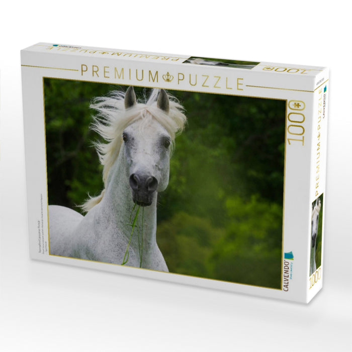 Traumpferd Lipizzaner Porträt - CALVENDO Foto-Puzzle'