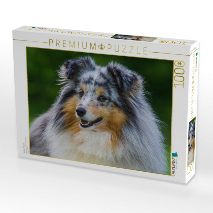 Sheltie-Porträt - CALVENDO Foto-Puzzle'