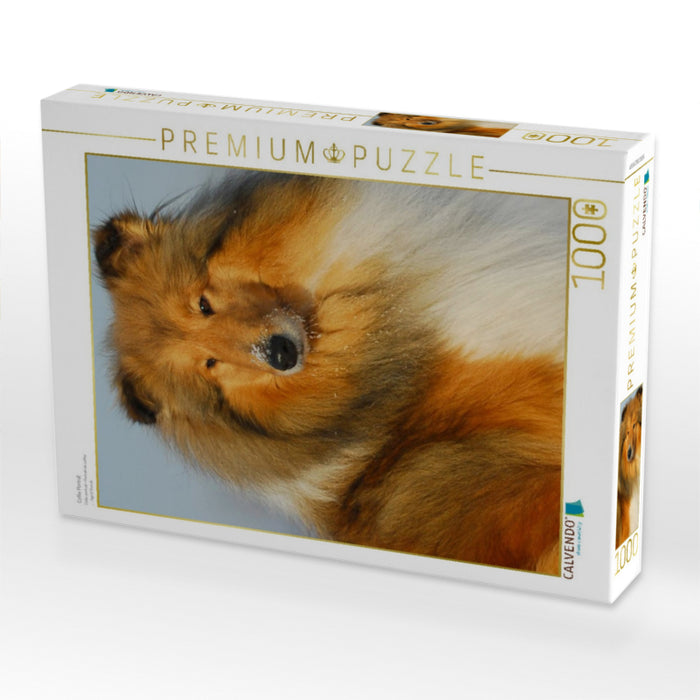 Collie Porträt - CALVENDO Foto-Puzzle'
