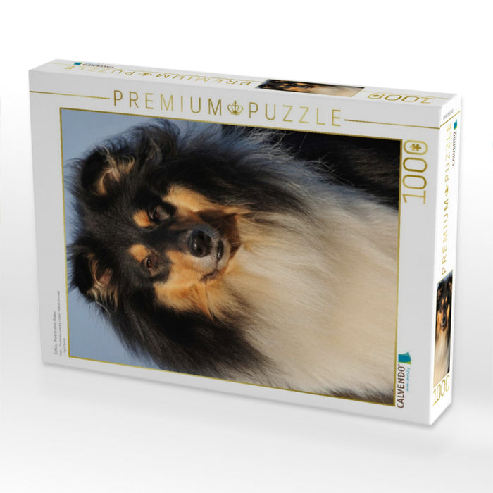Collies - Porträt eines Rüden - CALVENDO Foto-Puzzle'