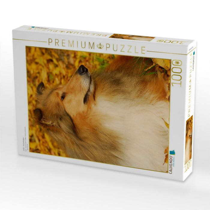 Collie - Herbstfarben - CALVENDO Foto-Puzzle'