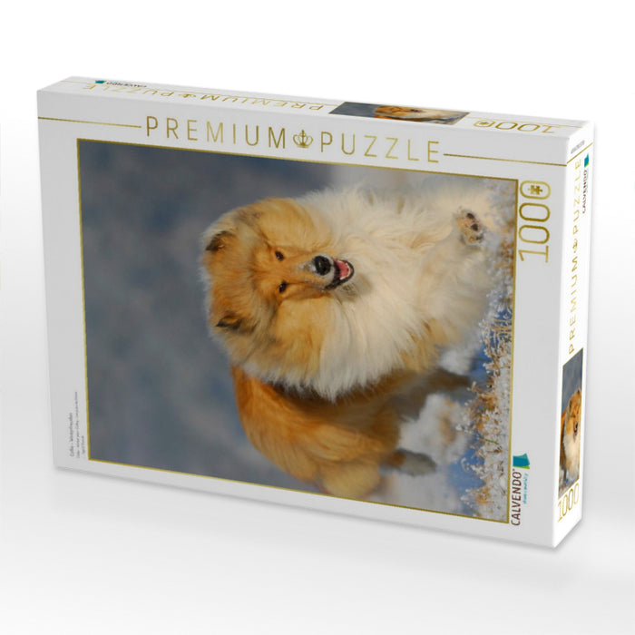 Collie - Winterfreuden - CALVENDO Foto-Puzzle'