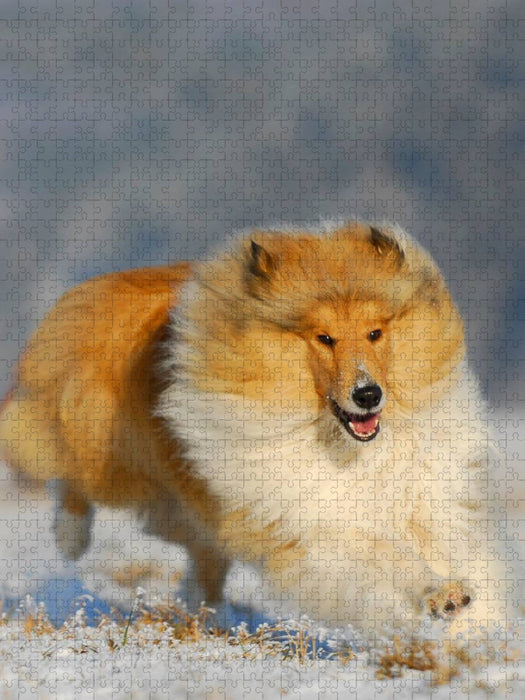 Collie - Winterfreuden - CALVENDO Foto-Puzzle'
