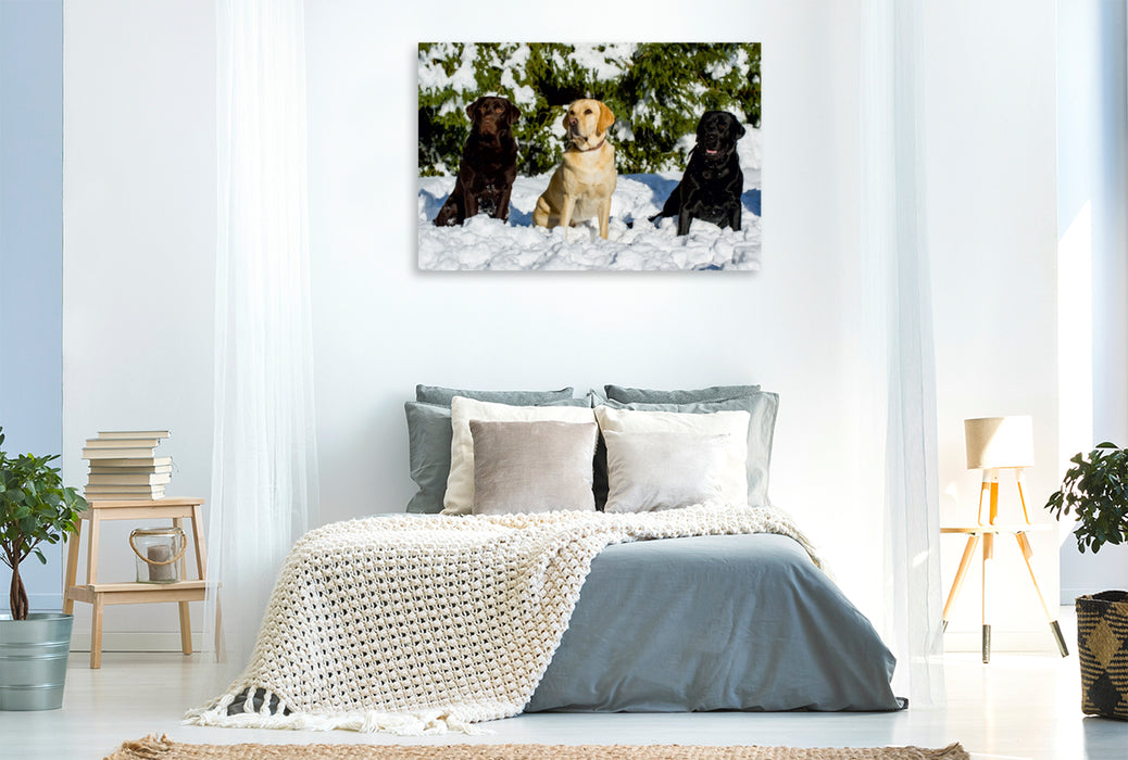 Premium Textil-Leinwand Premium Textil-Leinwand 120 cm x 80 cm quer Labrador Retriever - Freunde für´s Leben