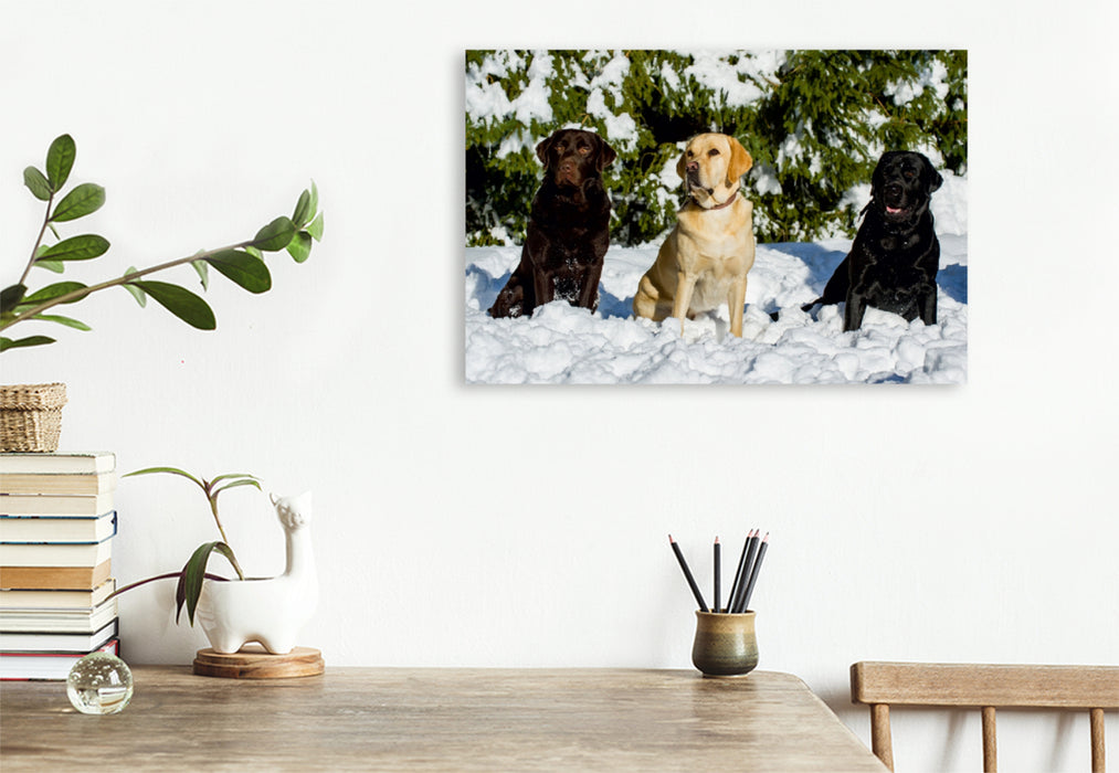 Premium Textil-Leinwand Premium Textil-Leinwand 120 cm x 80 cm quer Labrador Retriever - Freunde für´s Leben