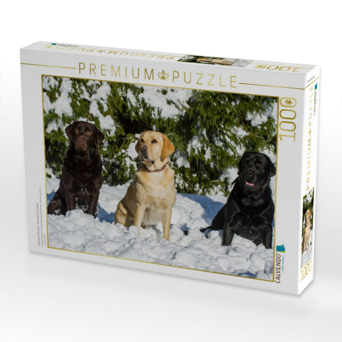 Labrador Retriever - Freunde für´s Leben - CALVENDO Foto-Puzzle'
