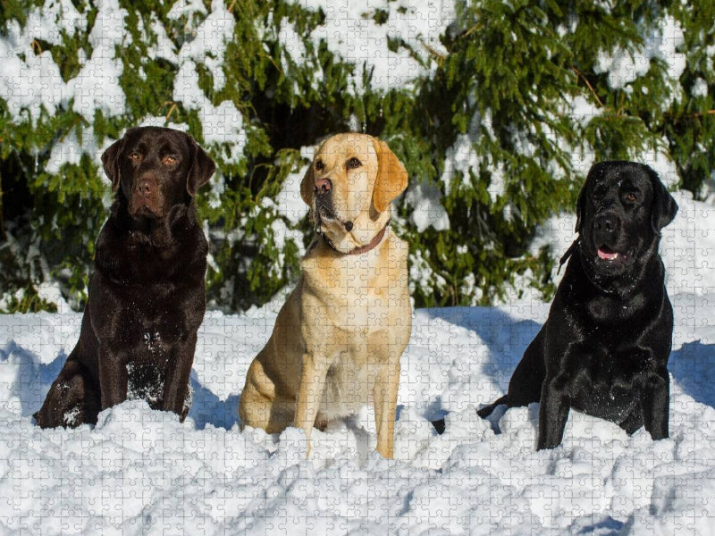 Labrador Retriever - Freunde für´s Leben - CALVENDO Foto-Puzzle'