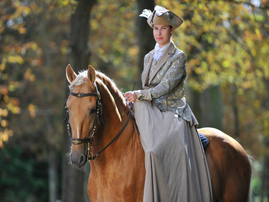 Fürstliche Hofreitschule Bückeburg - Lusitano - CALVENDO Foto-Puzzle'