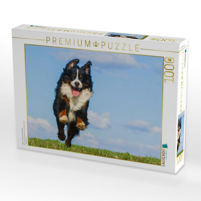 Berner Sennenhund Merlin - CALVENDO Foto-Puzzle'