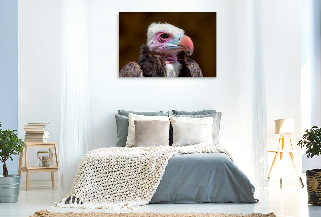 Toile textile premium Toile textile premium 120 cm x 80 cm paysage vautour à tête de laine 