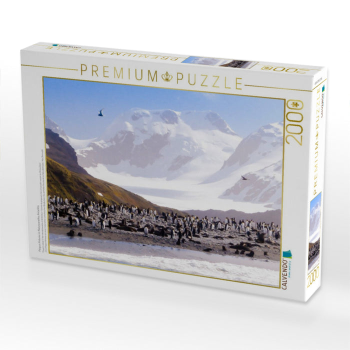 Pinguin Kolonie im Naturparadies Antarktis - CALVENDO Foto-Puzzle'