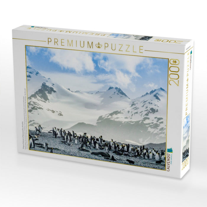 Pinguin Kolonie im Naturparadies Antarktis - CALVENDO Foto-Puzzle'