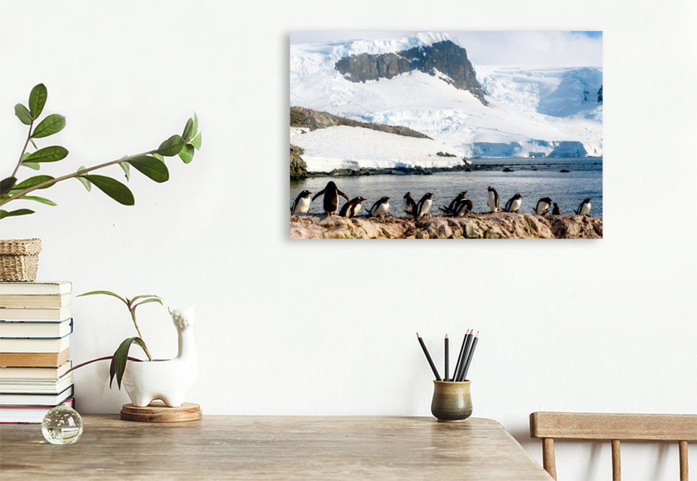 Toile textile premium Toile textile premium 120 cm x 80 cm paysage Colonie de pingouins dans le paradis naturel de l'Antarctique 
