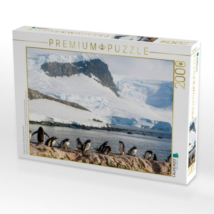 Pinguin Kolonie im Naturparadies Antarktis - CALVENDO Foto-Puzzle'