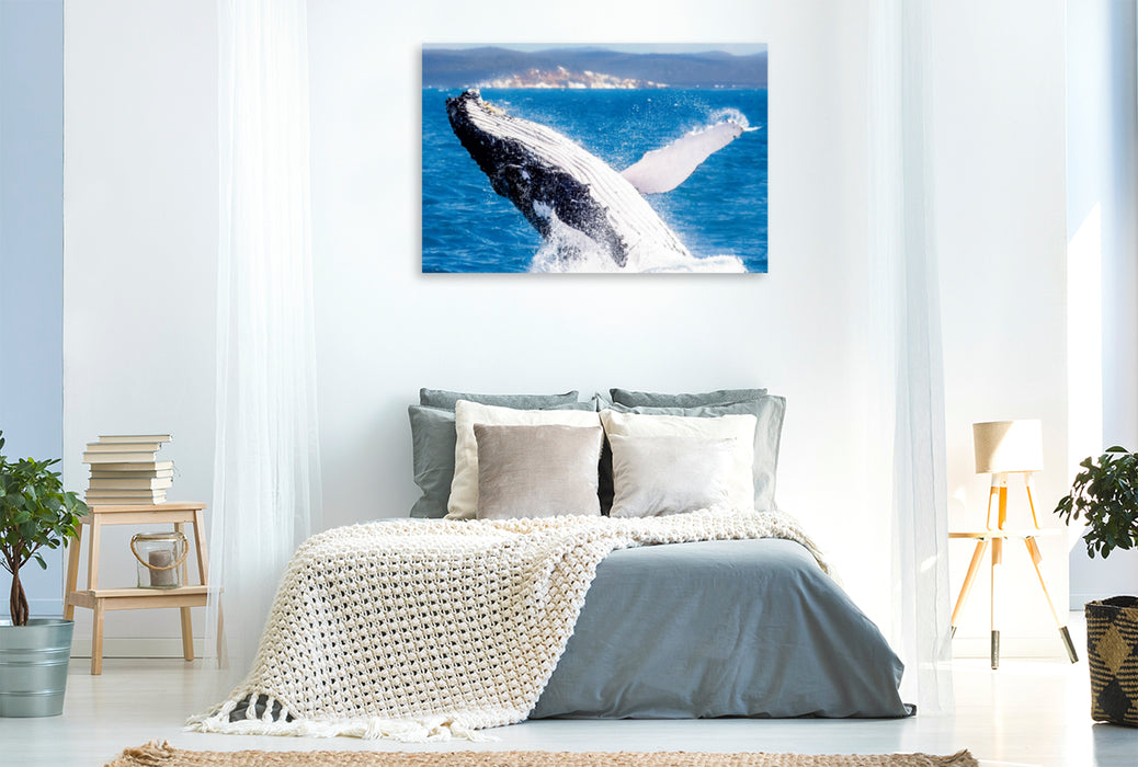 Toile textile premium Toile textile premium 120 cm x 80 cm paysage baleine à bosse à la baie d'Hervey 