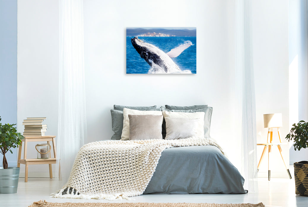 Toile textile premium Toile textile premium 120 cm x 80 cm paysage baleine à bosse à la baie d'Hervey 