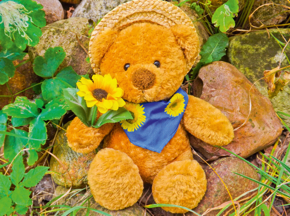 Teddybär mit Sonnenblume 2000 Teile Puzzle quer - CALVENDO Foto-Puzzle'