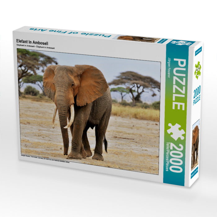 Éléphant à Amboseli - Puzzle photo CALVENDO 