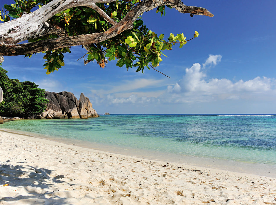 Traumstrand Seychellen 2000 Teile Puzzle quer - CALVENDO Foto-Puzzle'
