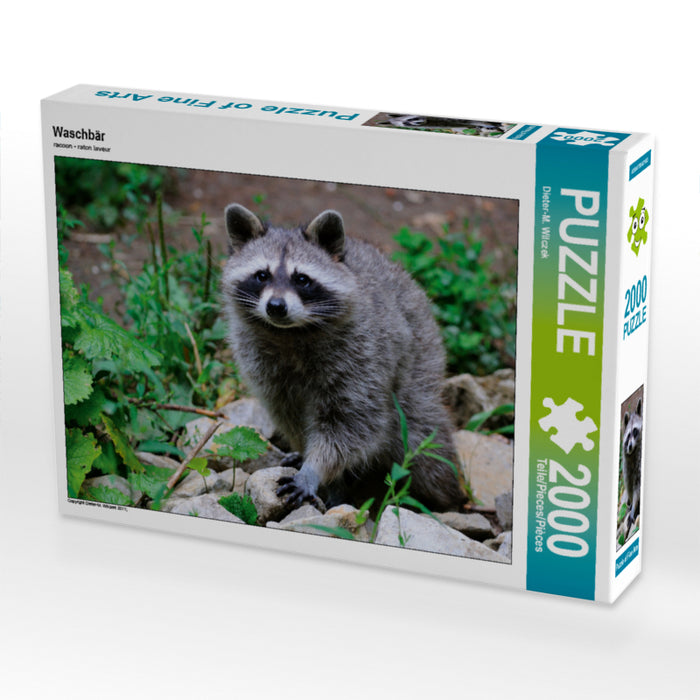 Raccoon - CALVENDO photo puzzle 