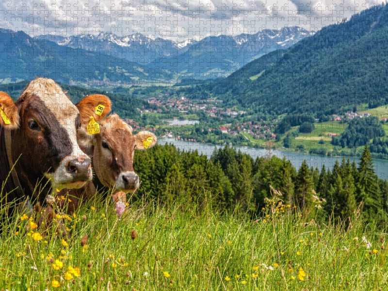 Sicht auf den Alpsee in Immenstadt - CALVENDO Foto-Puzzle'