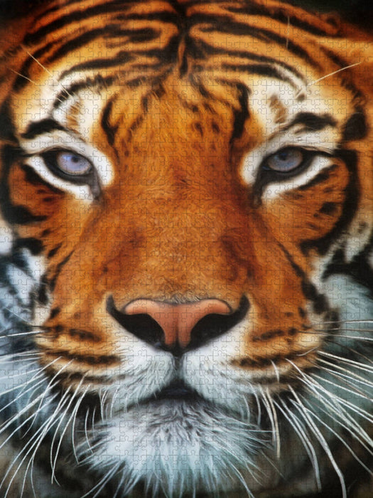 Tiger Portrait - CALVENDO Foto-Puzzle'