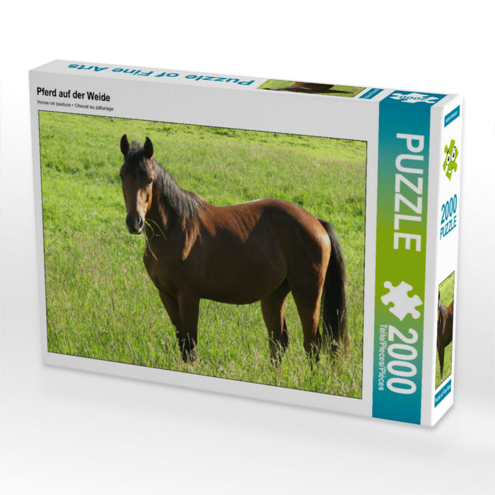 Pferd auf der Weide 2000 Teile Puzzle quer - CALVENDO Foto-Puzzle'