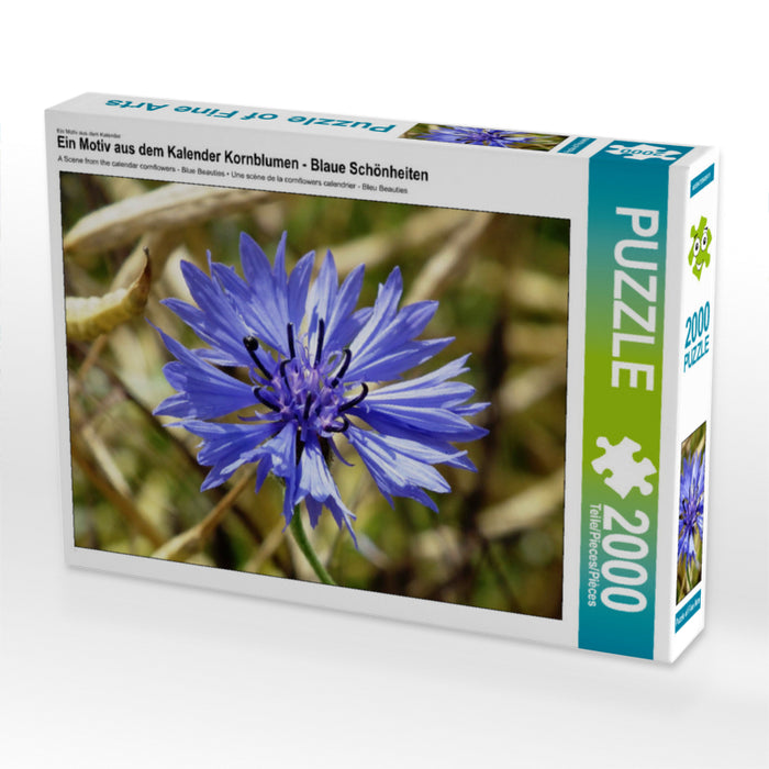 Ein Motiv aus dem Kalender Kornblumen - Blaue Schönheiten 2000 Teile Puzzle quer - CALVENDO Foto-Puzzle'