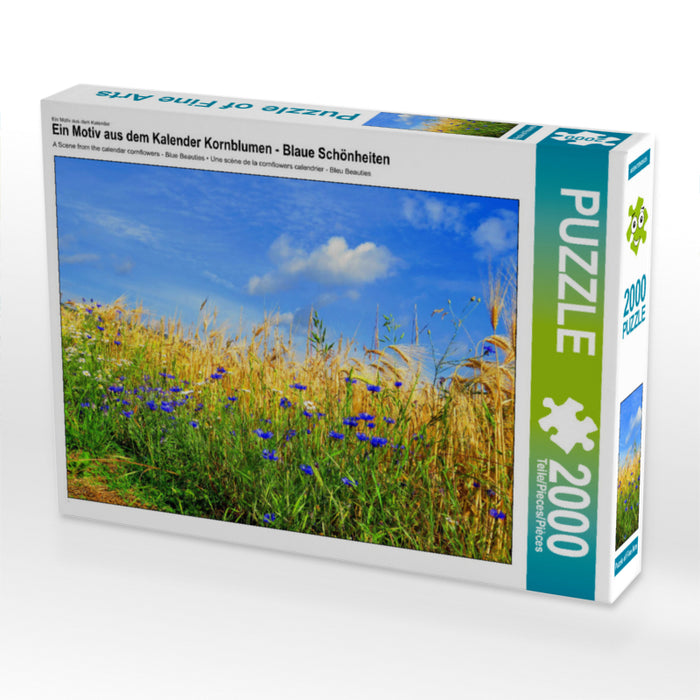 Ein Motiv aus dem Kalender Kornblumen - Blaue Schönheiten 2000 Teile Puzzle quer - CALVENDO Foto-Puzzle'