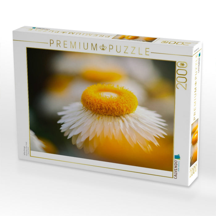 White Orange - CALVENDO Foto-Puzzle'
