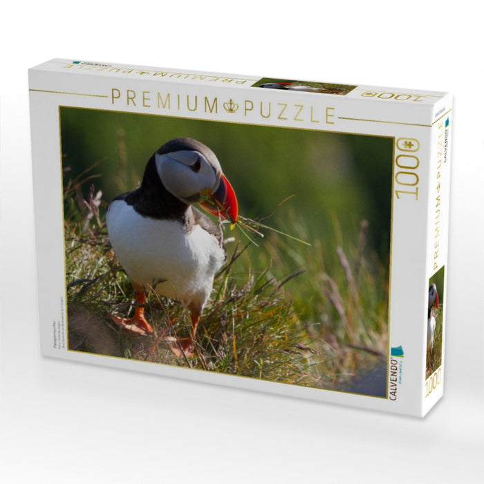 Papageientaucher - CALVENDO Foto-Puzzle'