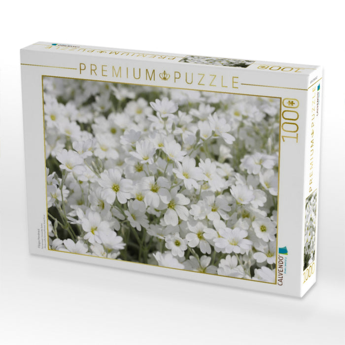 Filziges Hornkraut - CALVENDO Foto-Puzzle'