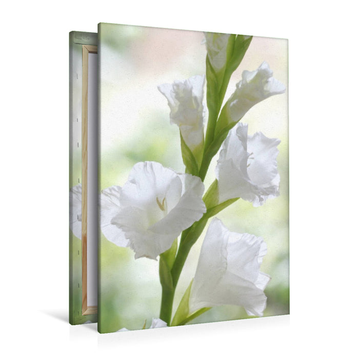 Premium Textil-Leinwand Weiße Gladiole