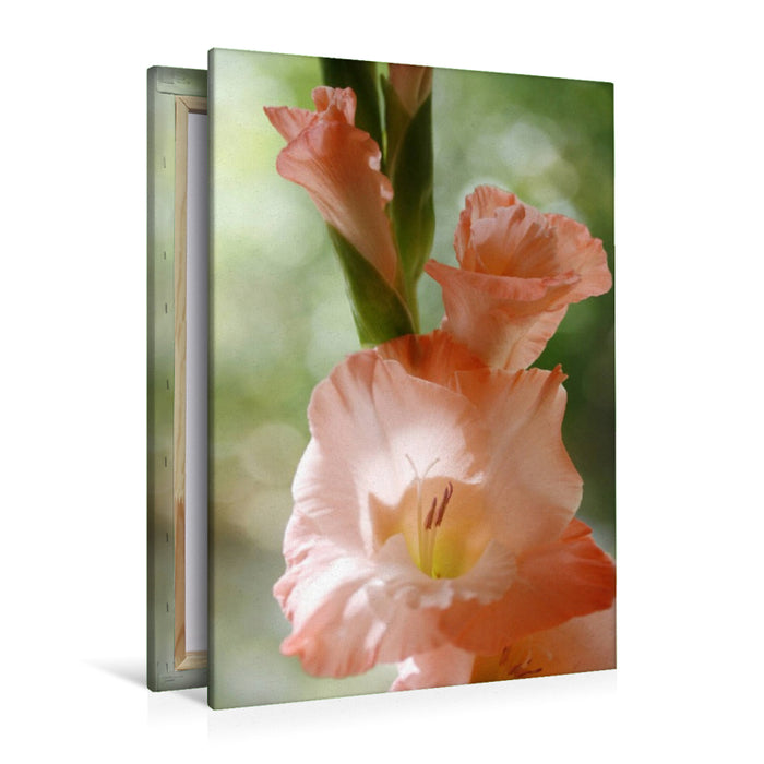 Premium Textil-Leinwand Gladiole