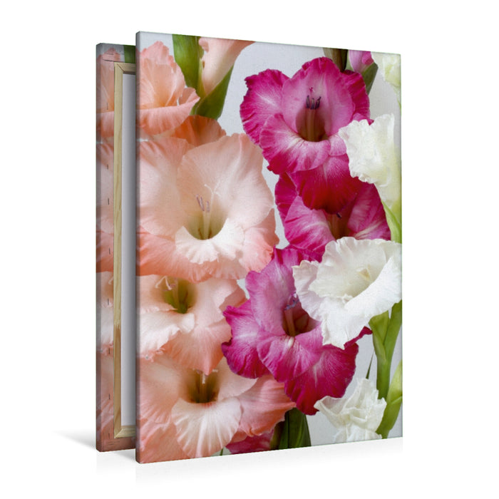 Premium Textil-Leinwand Gladiolen