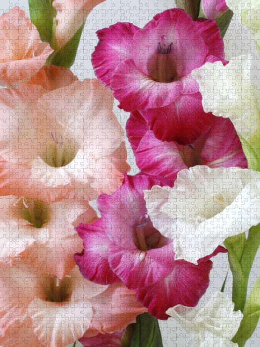 Gladiolen - CALVENDO Foto-Puzzle'